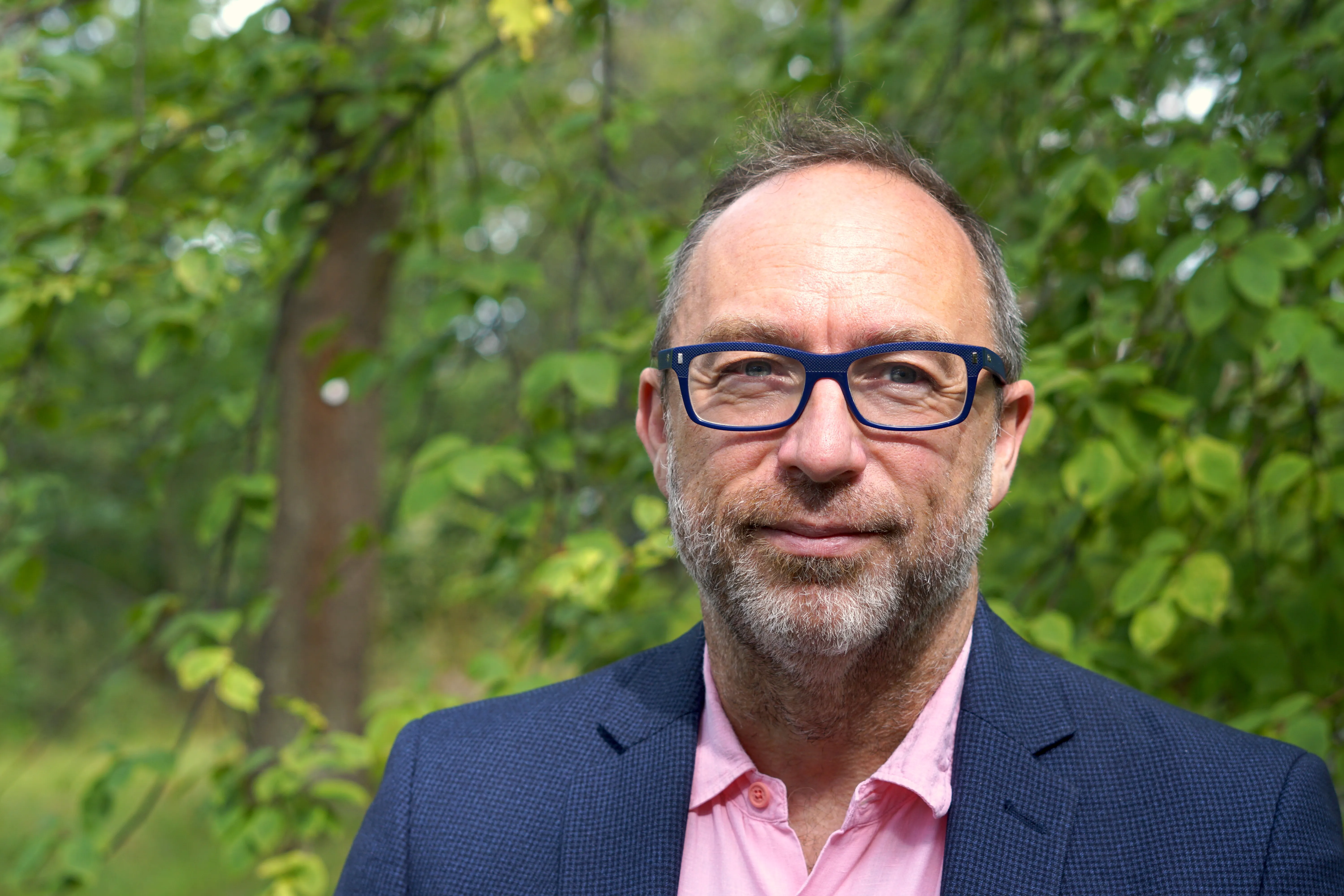 Jimmy Wales and the Rise of Wikipedia